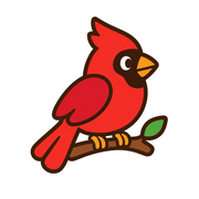 Bird Painting Pack — 7 Step-by-Step Projects