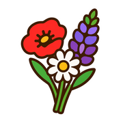 Wildflower Painting Pack — 6 Step-by-Step Projects