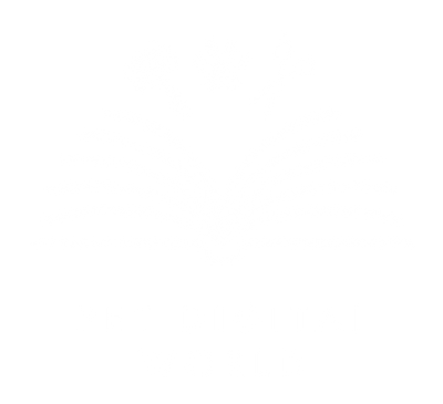 Pet Digital World 