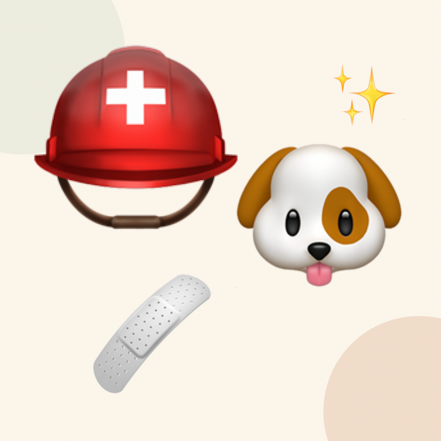Pet First Aid & Emergency Cards emoji icon