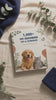 Pet grooming guide cover on linen with grooming tools placed beside it