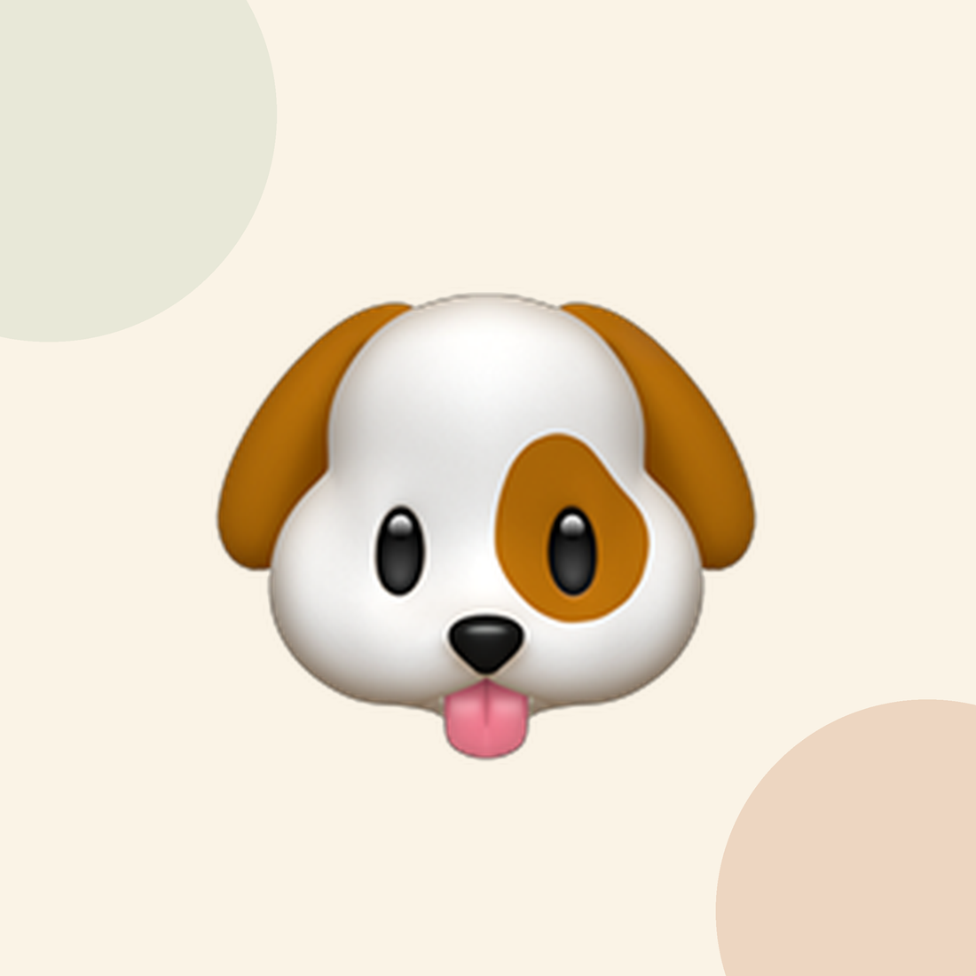 The Ultimate Grooming Resource for Every Pet!